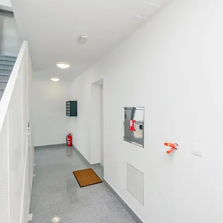 Stefani * スプリト